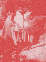wpe262.jpg (108391 bytes)